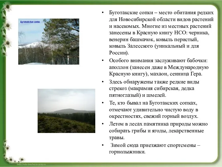 Буготакские сопки – место обитания редких для Новосибирской области видов растений