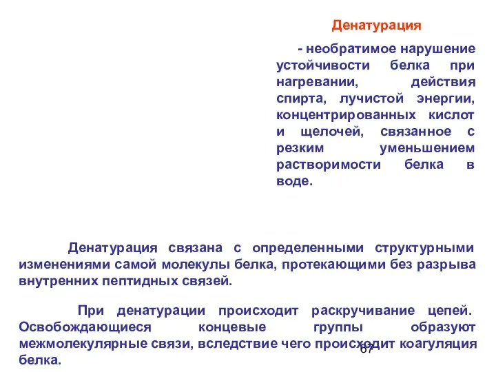 Денатурация Денатурация связана с определенными структурными изменениями самой молекулы белка, протекающими