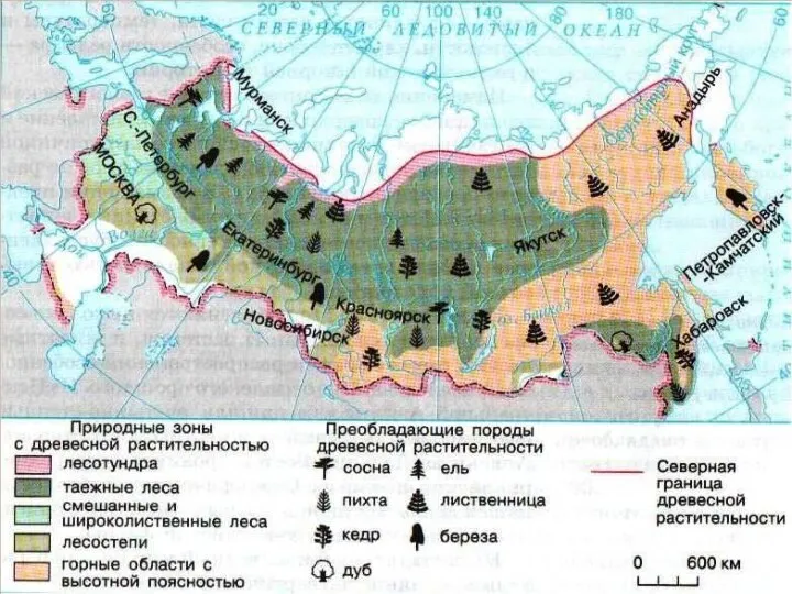 ПРИРОДНЫЕ ЗОНЫ РОССИИ