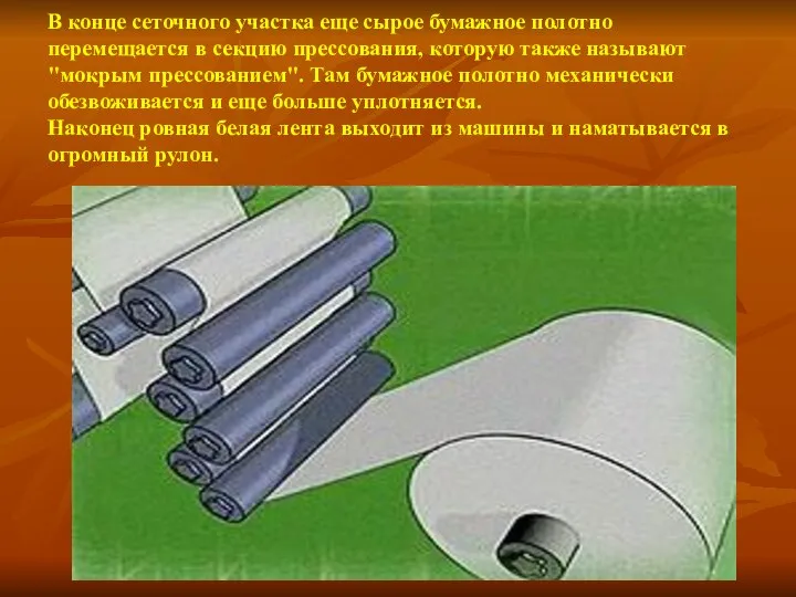 В конце сеточного участка еще сырое бумажное полотно перемещается в секцию