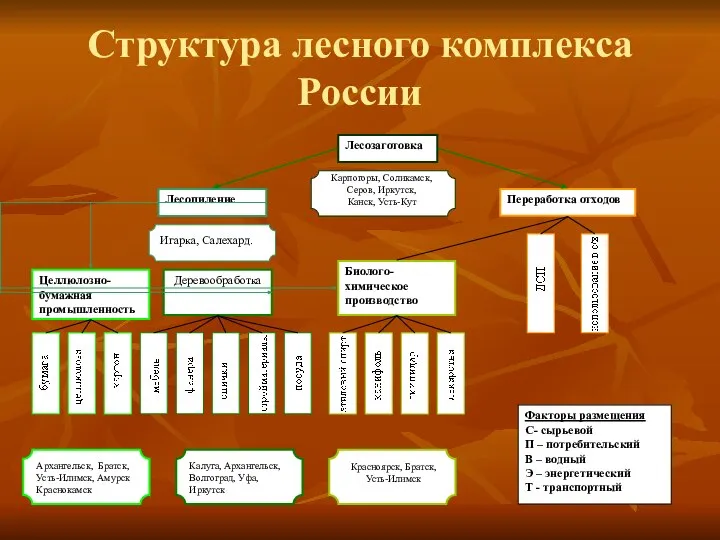 Структура лесного комплекса России Карпогоры, Соликамск, Серов, Иркутск, Канск, Усть-Кут Красноярск, Братск, Усть-Илимск