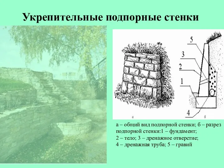 Укрепительные подпорные стенки а – общий вид подпорной стенки; б –