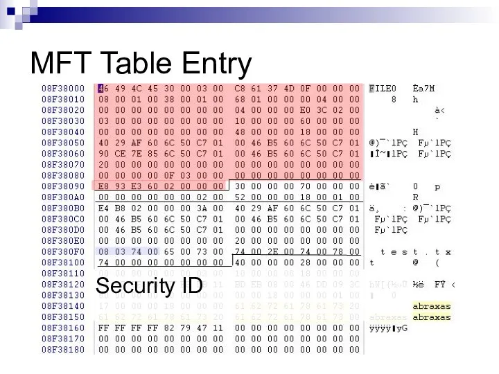 MFT Table Entry Security ID
