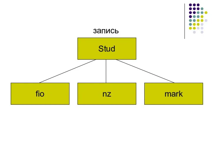 Stud запись fio nz mark