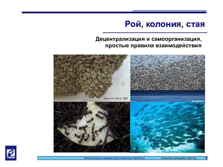 Рой, колония, стая Оптимизация параметров нечетких моделей Алгоритм роящихся частиц 6