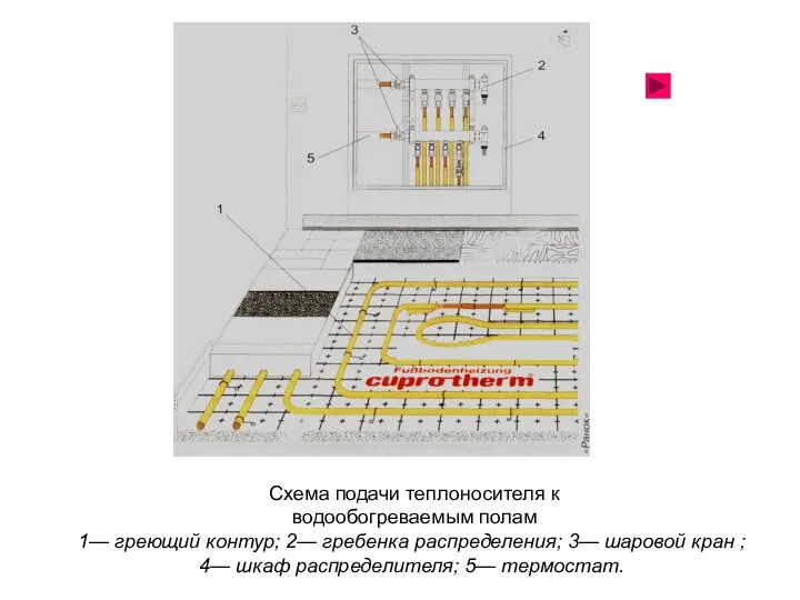 Схема подачи теплоносителя к водообогреваемым полам 1— греющий контур; 2— гребенка