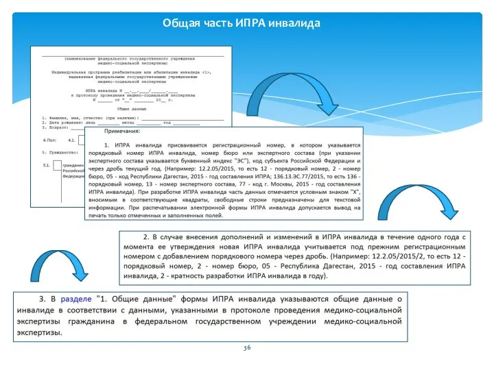 Общая часть ИПРА инвалида