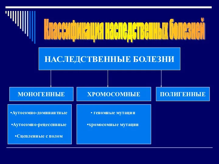 Классификация наследственных болезней МОНОГЕННЫЕ ХРОМОСОМНЫЕ ПОЛИГЕННЫЕ НАСЛЕДСТВЕННЫЕ БОЛЕЗНИ Аутосомно-доминантные Аутосомно-рецессивные Сцепленные