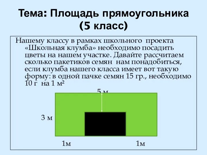 Тема: Площадь прямоугольника (5 класс) Нашему классу в рамках школьного проекта