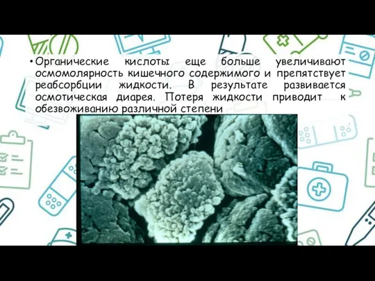 Органические кислоты еще больше увеличивают осмомолярность кишечного содержимого и препятствует реабсорбции