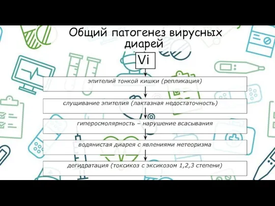 Общий патогенез вирусных диарей Vi эпителий тонкой кишки (репликация) слущивание эпителия