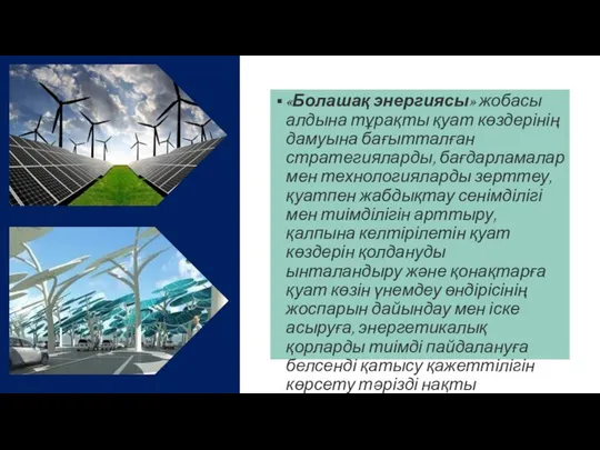 «Болашақ энергиясы» жобасы алдына тұрақты қуат көздерінің дамуына бағытталған стратегияларды, бағдарламалар