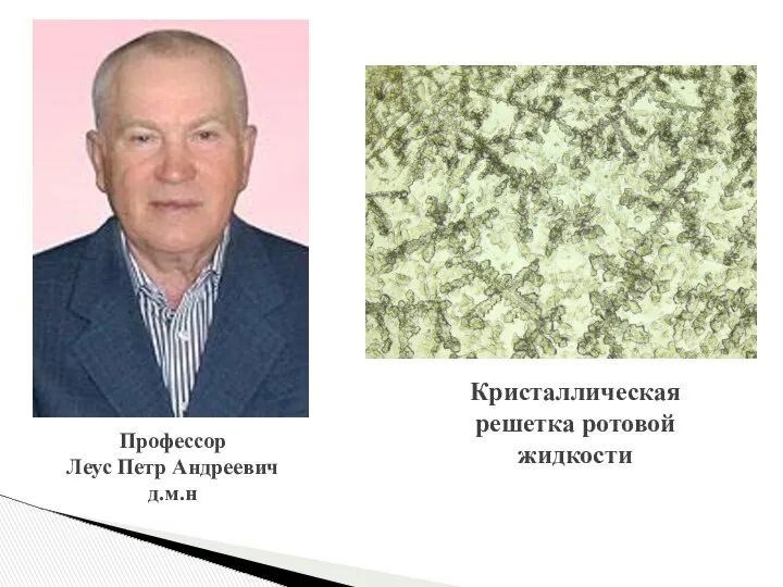 Профессор Леус Петр Андреевич д.м.н Кристаллическая решетка ротовой жидкости