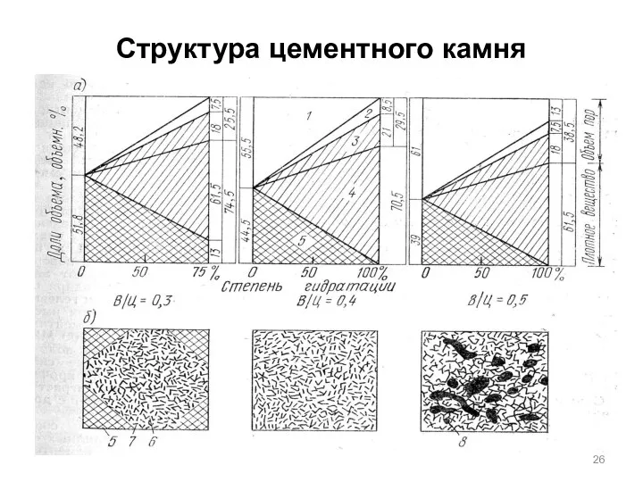 Структура цементного камня