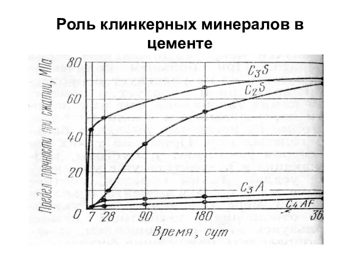 Роль клинкерных минералов в цементе