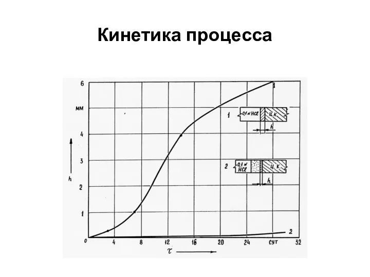 Кинетика процесса