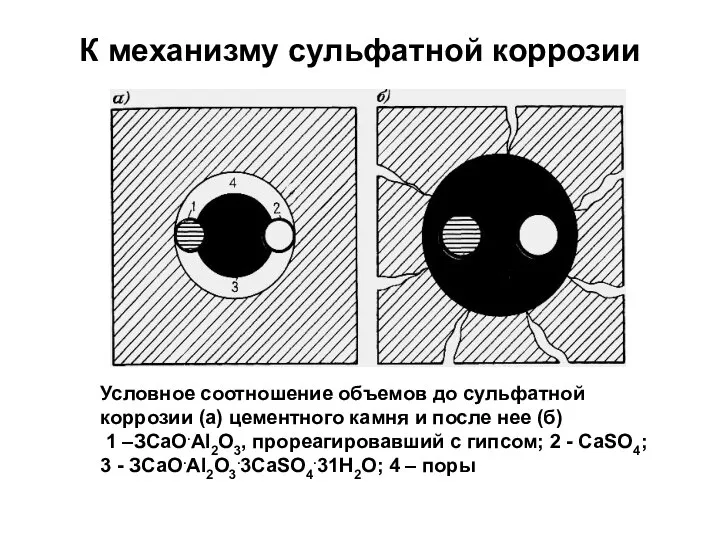 К механизму сульфатной коррозии Условное соотношение объемов до сульфатной коррозии (а)