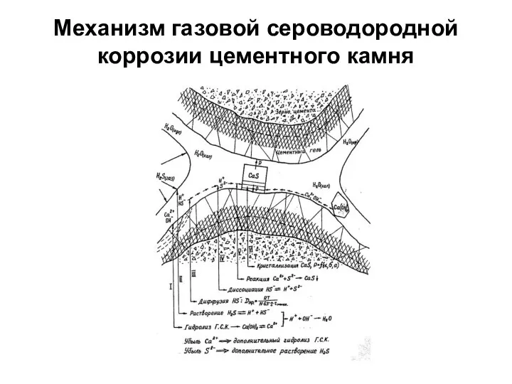 Механизм газовой сероводородной коррозии цементного камня