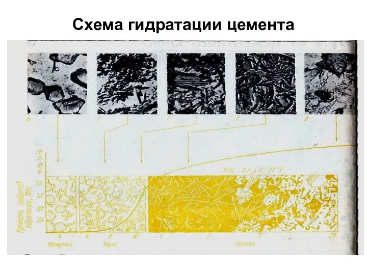 Схема гидратации цемента