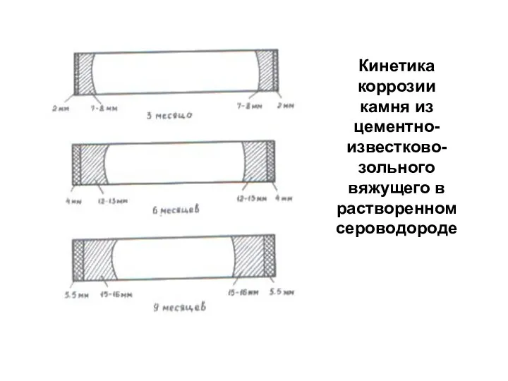 Кинетика коррозии камня из цементно-известково-зольного вяжущего в растворенном сероводороде