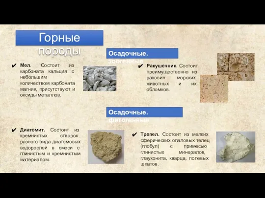 Горные породы Осадочные. зоогенные Ракушечник. Состоит преимущественно из раковин морских животных