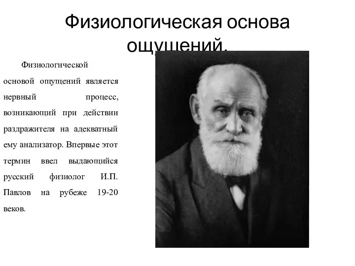 Физиологическая основа ощущений. Физиологической основой ощущений является нервный процесс, возникающий при