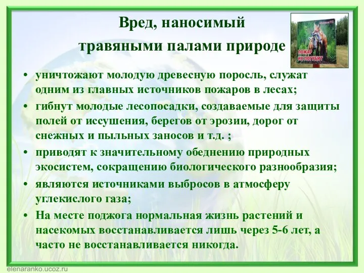 Вред, наносимый травяными палами природе уничтожают молодую древесную поросль, служат одним