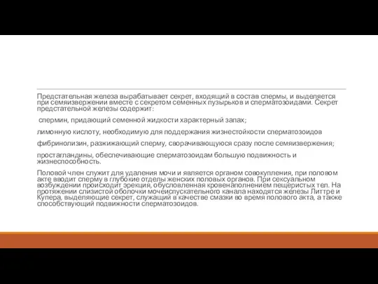 Предстательная железа вырабатывает секрет, входящий в состав спермы, и выделяется при