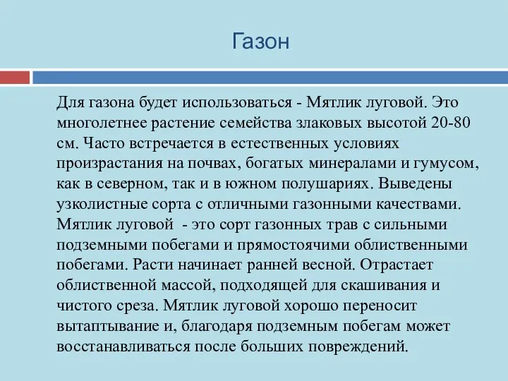 Газон Для газона будет использоваться - Мятлик луговой. Это многолетнее растение