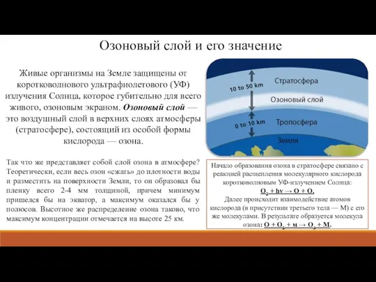 Озоновый слой и его значение Живые организмы на Земле защищены от