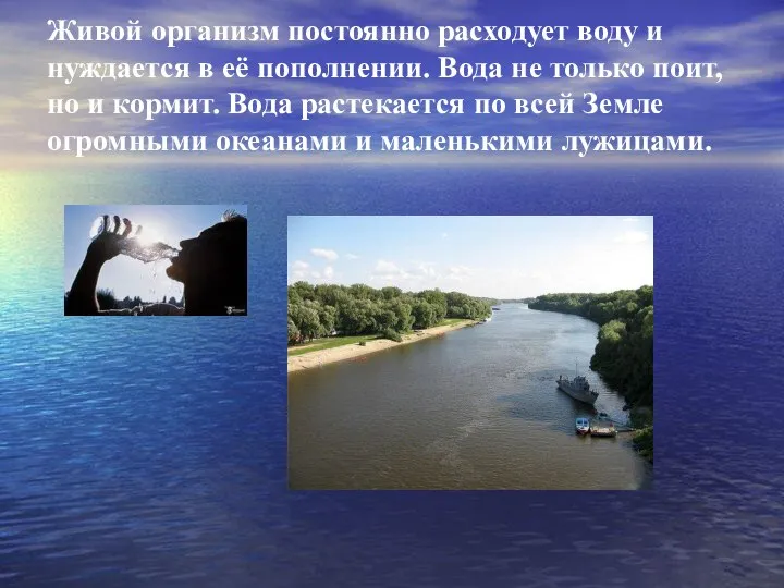 Живой организм постоянно расходует воду и нуждается в её пополнении. Вода