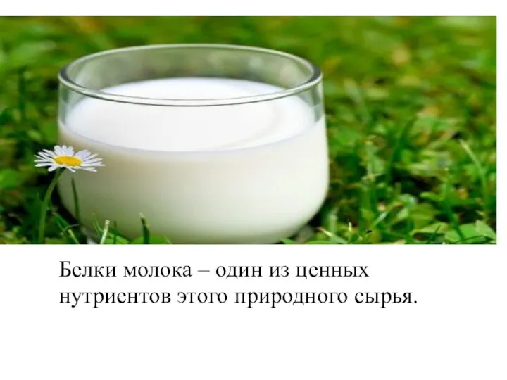 Белки молока – один из ценных нутриентов этого природного сырья.