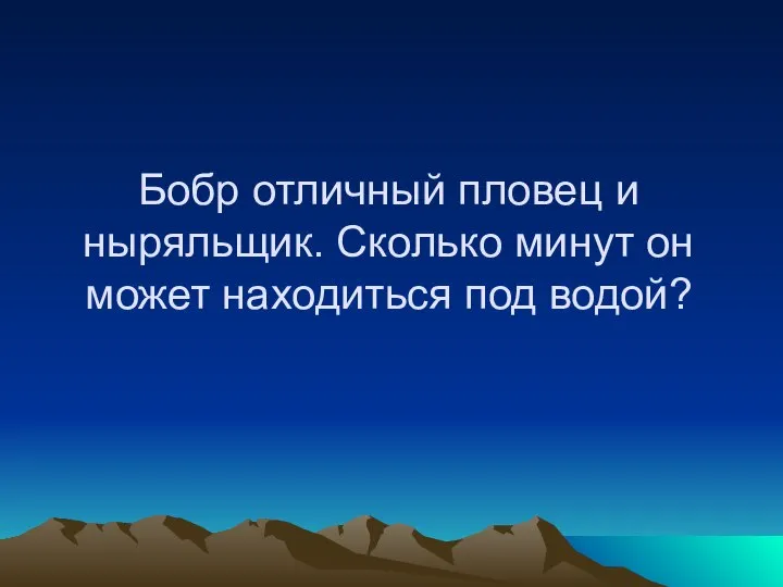 Бобр отличный пловец и ныряльщик. Сколько минут он может находиться под водой?