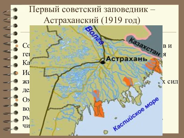 Первый советский заповедник – Астраханский (1919 год) Цель создания: Сохранение и