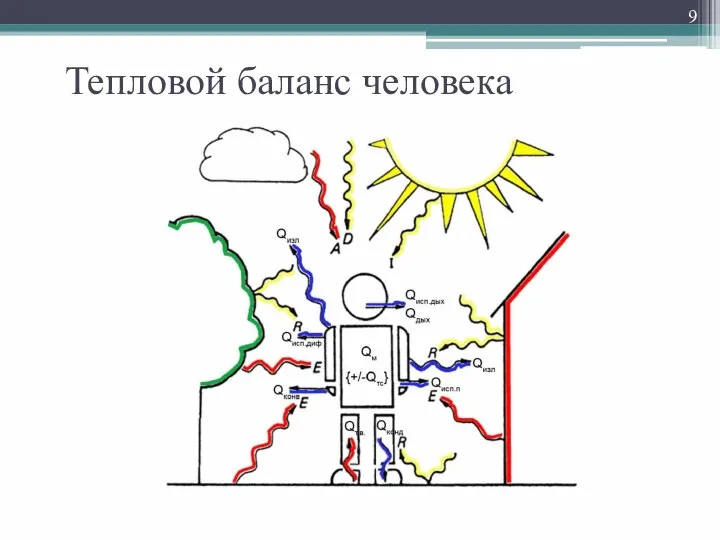 Тепловой баланс человека