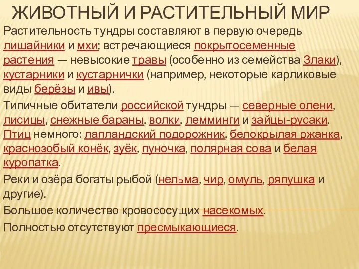 ЖИВОТНЫЙ И РАСТИТЕЛЬНЫЙ МИР Растительность тундры составляют в первую очередь лишайники