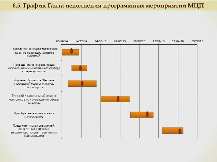 6.5. График Ганта исполнения программных мероприятий МЦП