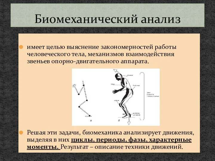 имеет целью выяснение закономерностей работы человеческого тела, механизмов взаимодействия звеньев опорно-двигательного