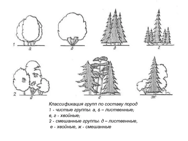 Классификация групп по составу пород 1 - чистые группы: а, 6