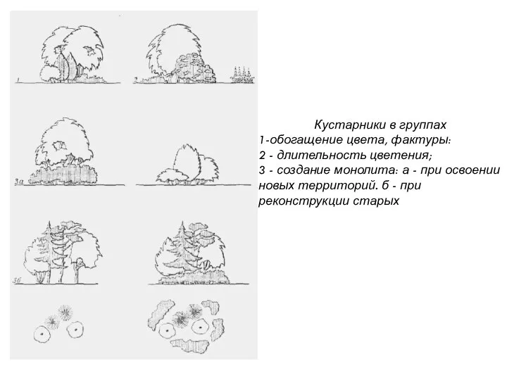 Кустарники в группах 1-обогащение цвета, фактуры: 2 - длительность цветения; 3