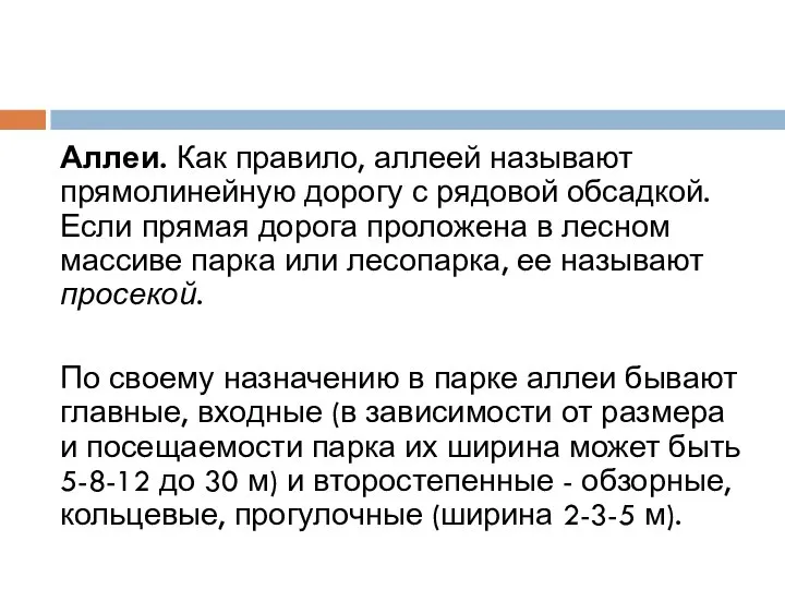 Аллеи. Как правило, аллеей называют прямолинейную дорогу с рядовой обсадкой. Если