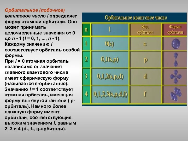 Орбитальное (побочное) квантовое число l определяет форму атомной орбитали. Оно может