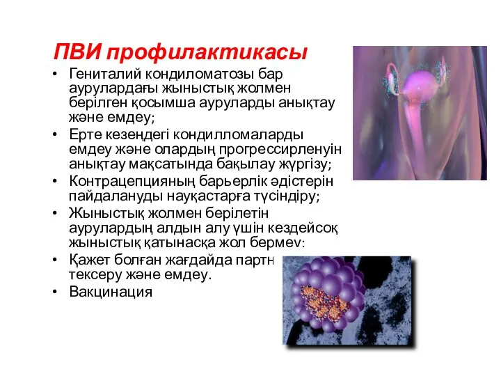 ПВИ профилактикасы Гениталий кондиломатозы бар аурулардағы жыныстық жолмен берілген қосымша ауруларды