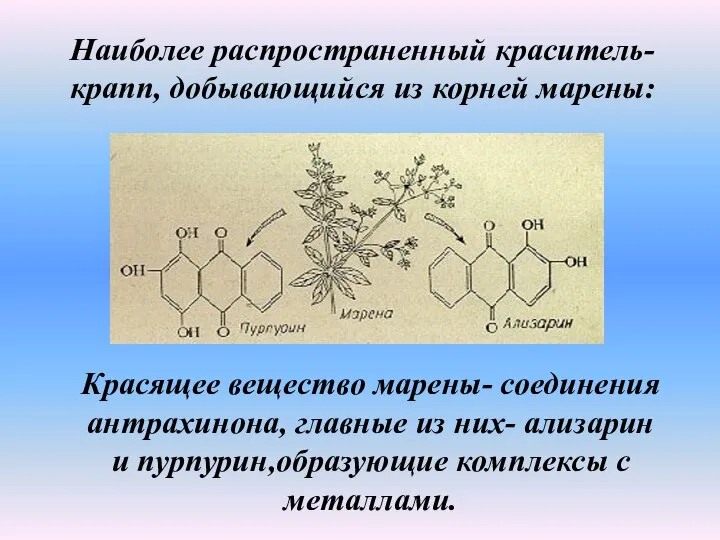 Наиболее распространенный краситель-крапп, добывающийся из корней марены: Красящее вещество марены- соединения