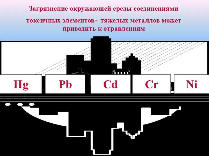 Загрязнение окружающей среды соединениями токсичных элементов- тяжелых металлов может приводить к