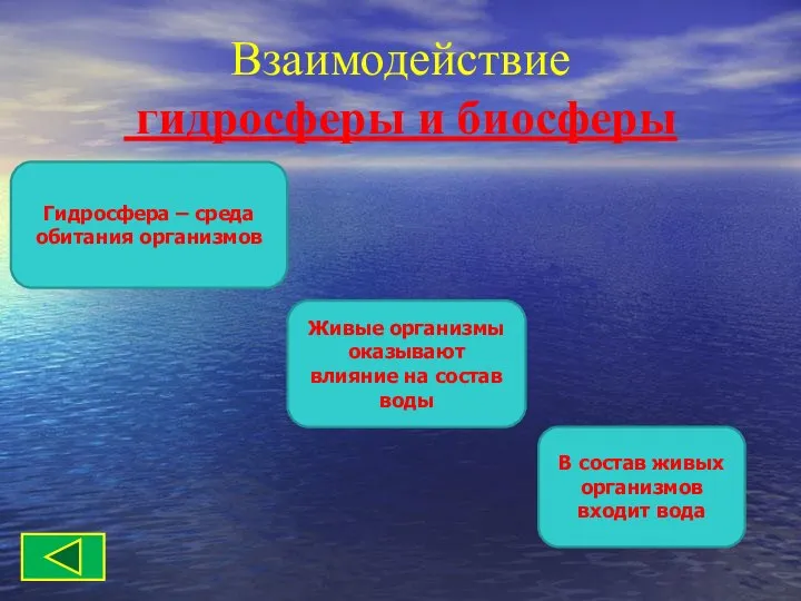 Взаимодействие гидросферы и биосферы В состав живых организмов входит вода Живые