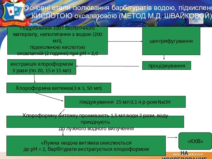 www.themegallery.com Основні етапи ізолювання барбітуратів водою, підкисленою КИСЛОТОЮ оксалатовою (МЕТОД М.Д.