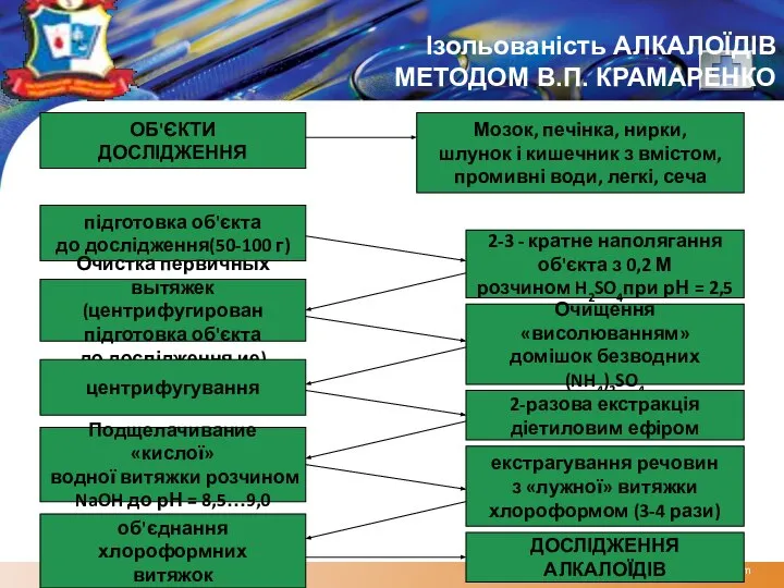 www.themegallery.com Ізольованість АЛКАЛОЇДІВ МЕТОДОМ В.П. КРАМАРЕНКО ОБ'ЄКТИ ДОСЛІДЖЕННЯ підготовка об'єкта до