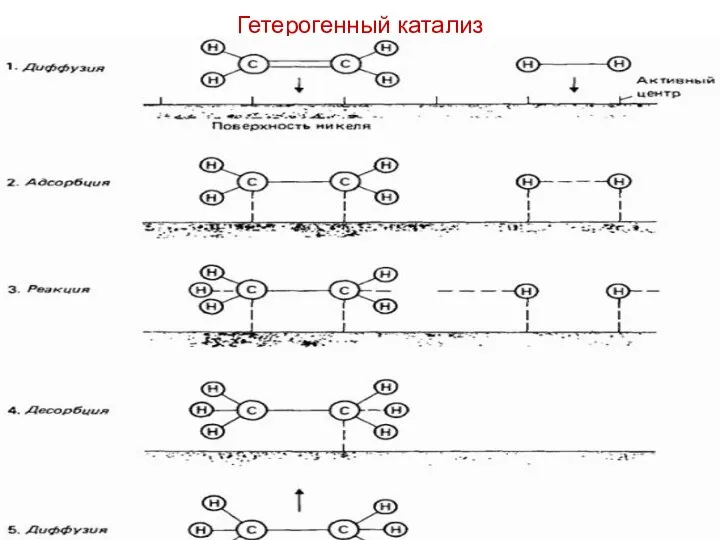 Гетерогенный катализ