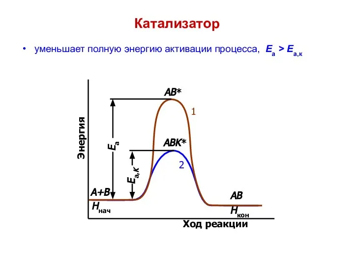 Катализатор уменьшает полную энергию активации процесса, Еа > Еа,к